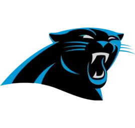 NFL Team Logo