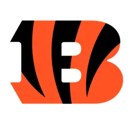 NFL Team Logo