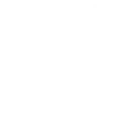 NFL Team Logo