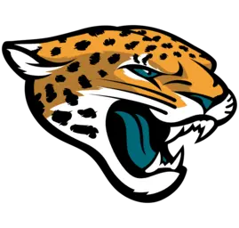 NFL Team Logo