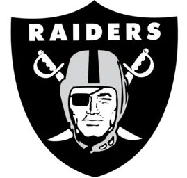 NFL Team Logo