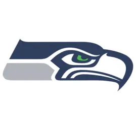 NFL Team Logo